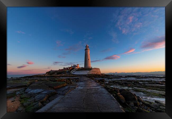 St Mary's Lighthouse Framed Print by Rob McAvoy