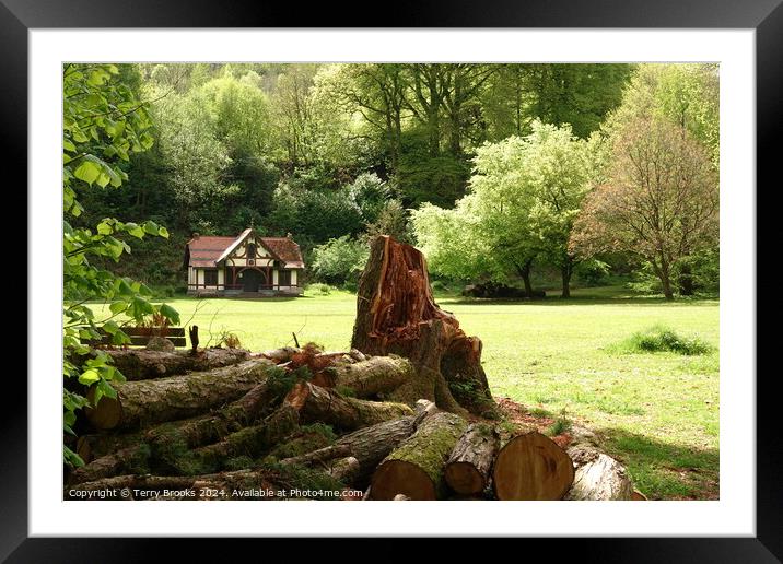 Cabin in the Woodland Framed Mounted Print by Terry Brooks