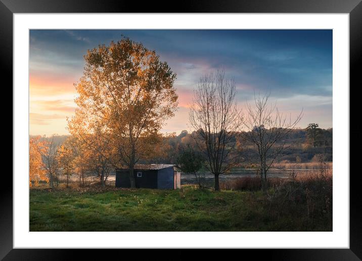 Cabin on a small lake Framed Mounted Print by Dejan Travica