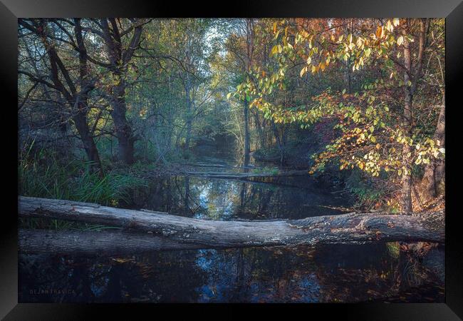 Small forest river in autumn Framed Print by Dejan Travica