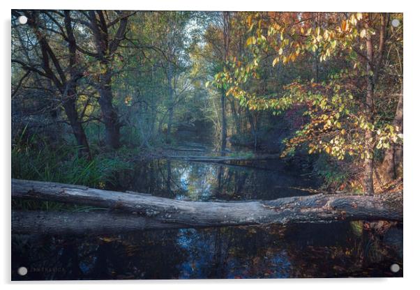 Small forest river in autumn Acrylic by Dejan Travica
