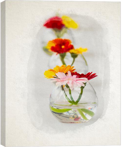 Aligned flowers on table in watercolor Canvas Print by youri Mahieu