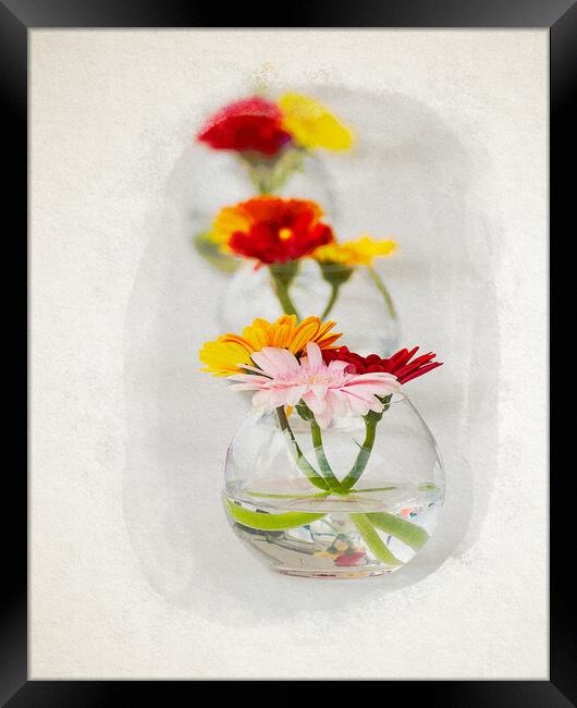 Aligned flowers on table in watercolor Framed Print by youri Mahieu