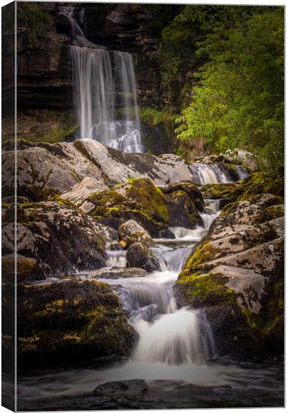 Thornton Force, Ingleton Falls Canvas Print by chris smith