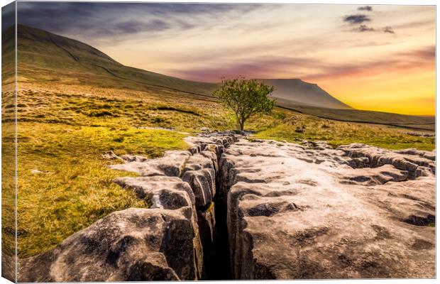 limestone pavement in the Yorkshire dales Canvas Print by chris smith