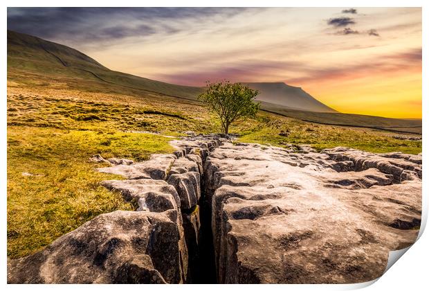 limestone pavement in the Yorkshire dales Print by chris smith