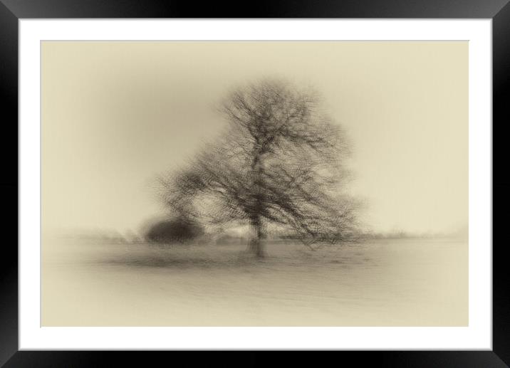 Tree Multiple exposures Framed Mounted Print by chris smith