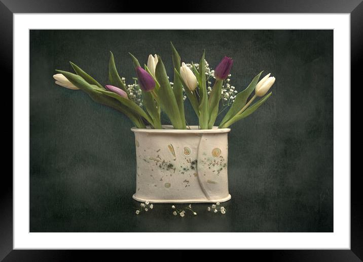 Tulips still life Framed Mounted Print by Pam Sargeant