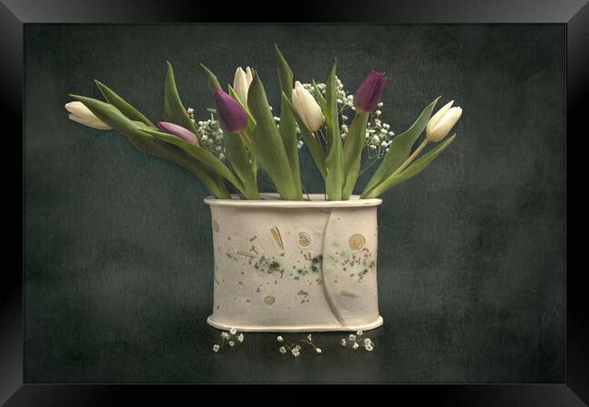 Tulips still life Framed Print by Pam Sargeant