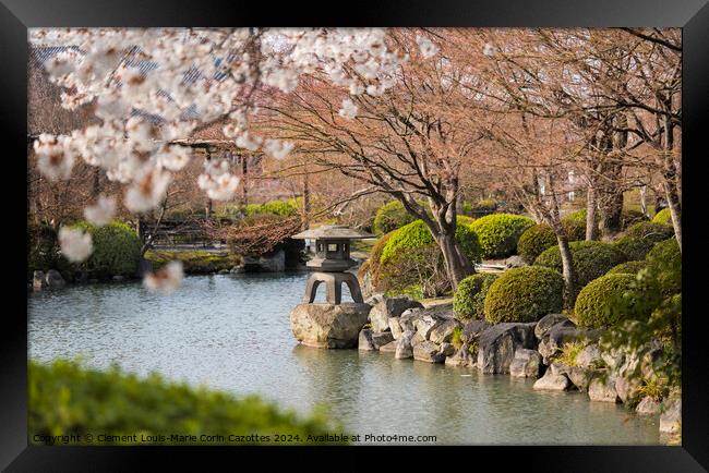 Japanese stone lantern with cherry blossoms along  Framed Print by  Kuremo