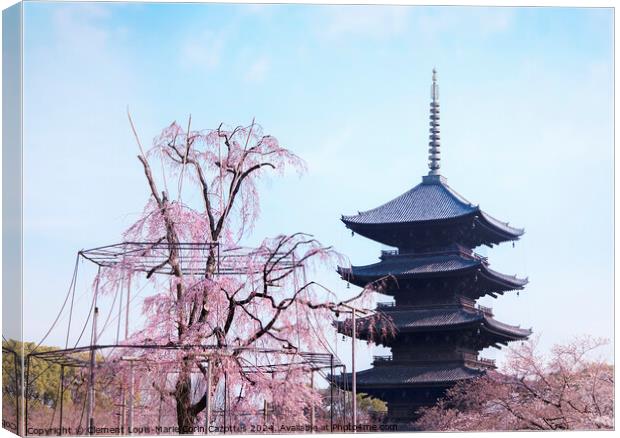 Weeping cherry tree with pink flowers in front of the five-storied pagoda of Toji Temple in Kyoto. Canvas Print by  Kuremo