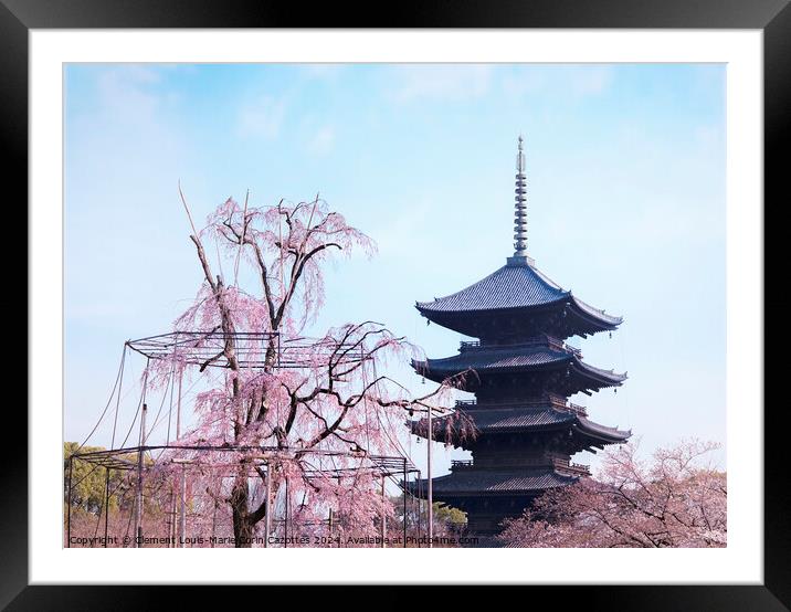 Weeping cherry tree with pink flowers in front of the five-storied pagoda of Toji Temple in Kyoto. Framed Mounted Print by  Kuremo