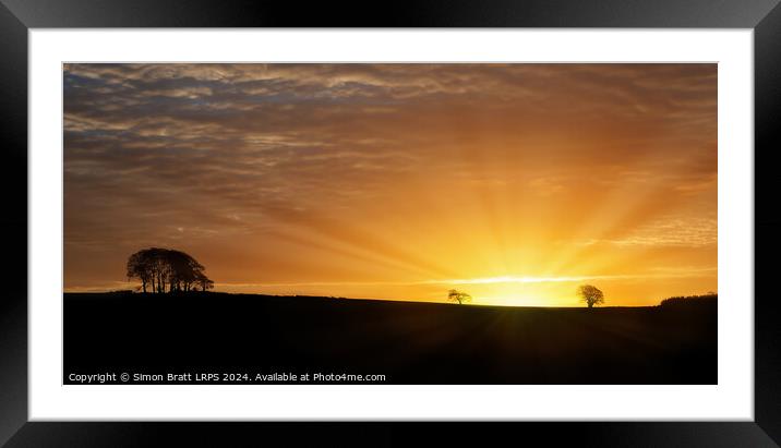Sunrise over rural silouette landscape with tree Framed Mounted Print by Simon Bratt LRPS