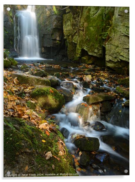 Lumsdale Falls Acrylic by Peter Towle