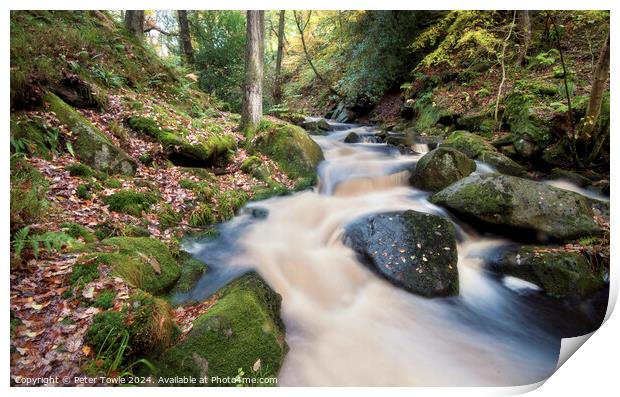 Padley Gorge Print by Peter Towle