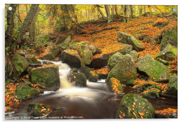 Padley Gorge in Autumn  Acrylic by Peter Towle