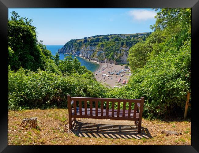 Beer View Devon Framed Print by Darren Galpin