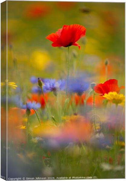 Poppy and meadow fowers Canvas Print by Simon Johnson