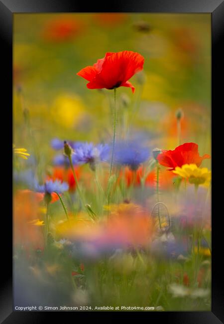  Poppy and meadow fowers Framed Print by Simon Johnson