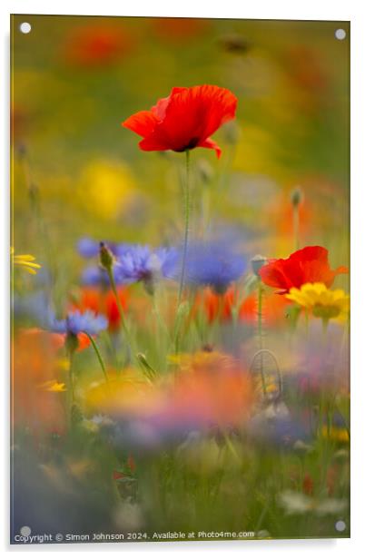  Poppy and meadow fowers Acrylic by Simon Johnson