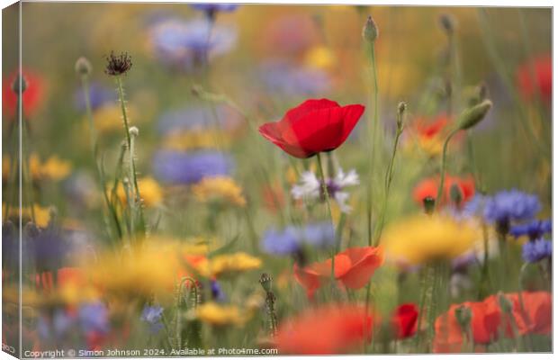 Poppies and wild flowers Canvas Print by Simon Johnson