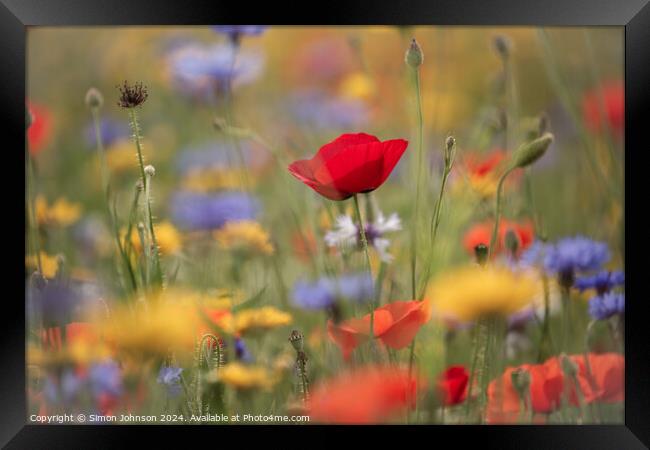 Poppies and wild flowers Framed Print by Simon Johnson