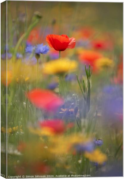 Poppy and meadow flowers Canvas Print by Simon Johnson