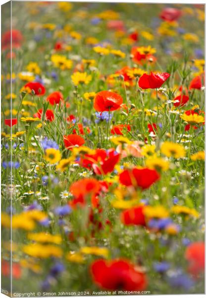  poppy and meadow flowers Canvas Print by Simon Johnson