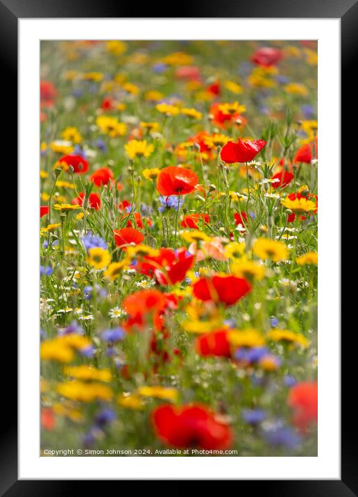  poppy and meadow flowers Framed Mounted Print by Simon Johnson