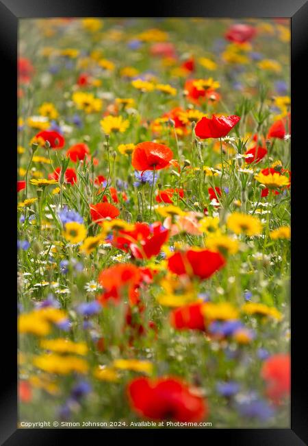  poppy and meadow flowers Framed Print by Simon Johnson