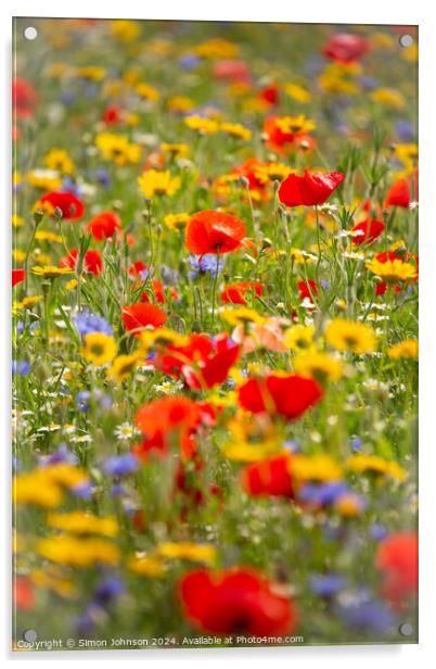  poppy and meadow flowers Acrylic by Simon Johnson