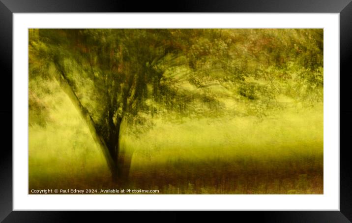 Artistic tree on yellow background Framed Mounted Print by Paul Edney