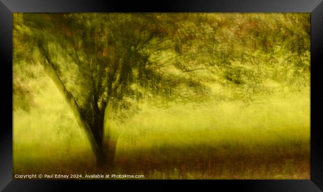 Artistic tree on yellow background Framed Print by Paul Edney
