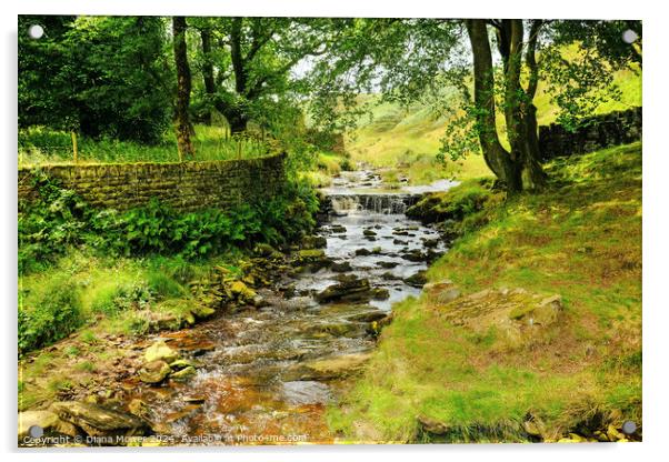  River Colne near Marsden Moor  Acrylic by Diana Mower