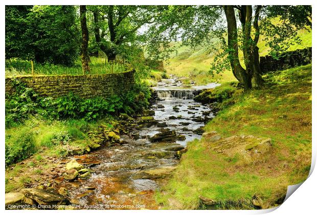 River Colne near Marsden Moor  Print by Diana Mower