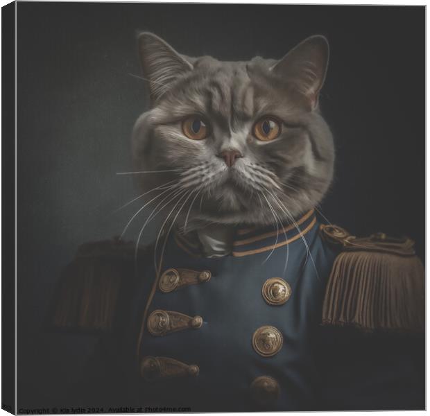 English shorthair cat Canvas Print by Kia lydia