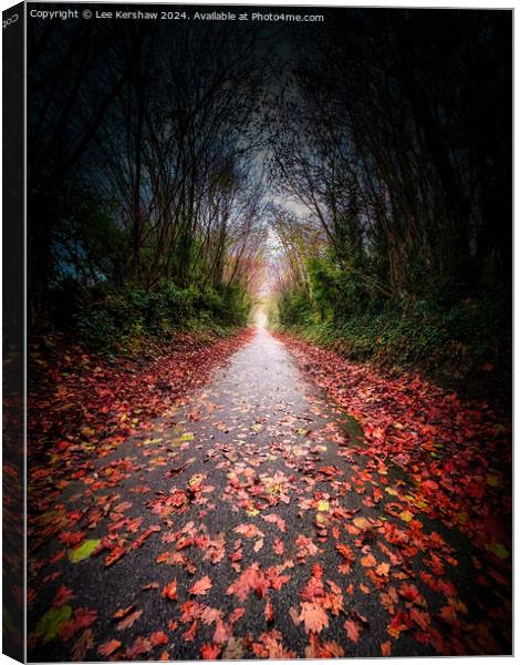 Autumn Path in the Valley of the Crows Canvas Print by Lee Kershaw