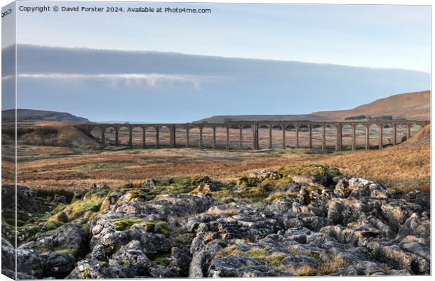 The Ribblehead, Viaduct from Runscar Scar, Yorkshire Dales, UK Canvas Print by David Forster