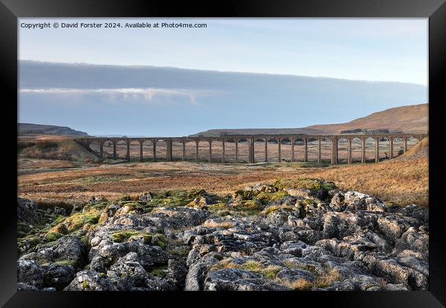 The Ribblehead, Viaduct from Runscar Scar, Yorkshire Dales, UK Framed Print by David Forster