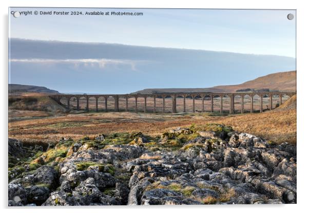 The Ribblehead, Viaduct from Runscar Scar, Yorkshire Dales, UK Acrylic by David Forster