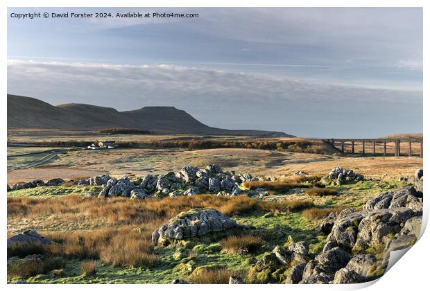 Ingleborough, Simon Fell from Runscar, Yorkshire D Print by David Forster