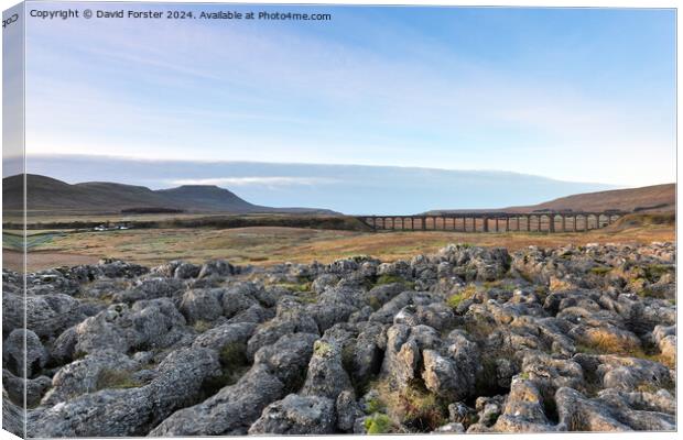 Ingleborough and the Ribblehead Viaduct, Yorkshire Dales, UK Canvas Print by David Forster