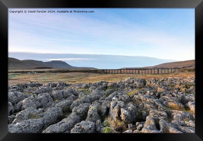 Ingleborough and the Ribblehead Viaduct, Yorkshire Dales, UK Framed Print by David Forster