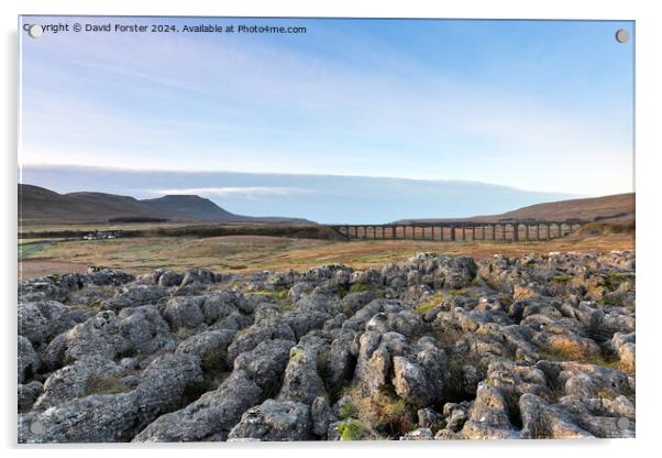 Ingleborough and the Ribblehead Viaduct, Yorkshire Dales, UK Acrylic by David Forster