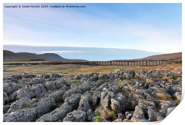 Ingleborough and the Ribblehead Viaduct, Yorkshire Dales, UK Print by David Forster