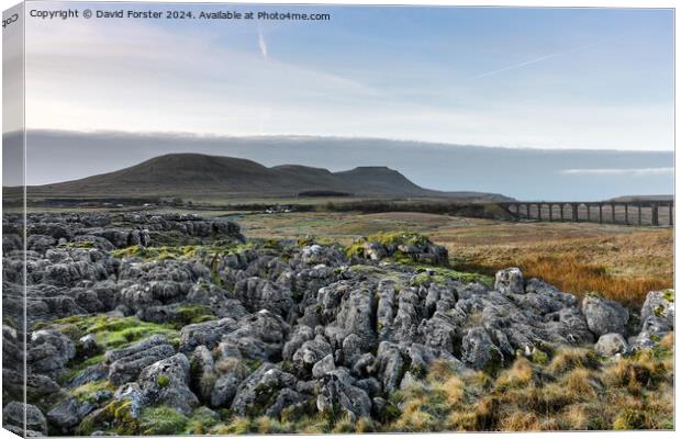The Ribblehead Viaduct and Ingleborough, Yorkshire Canvas Print by David Forster