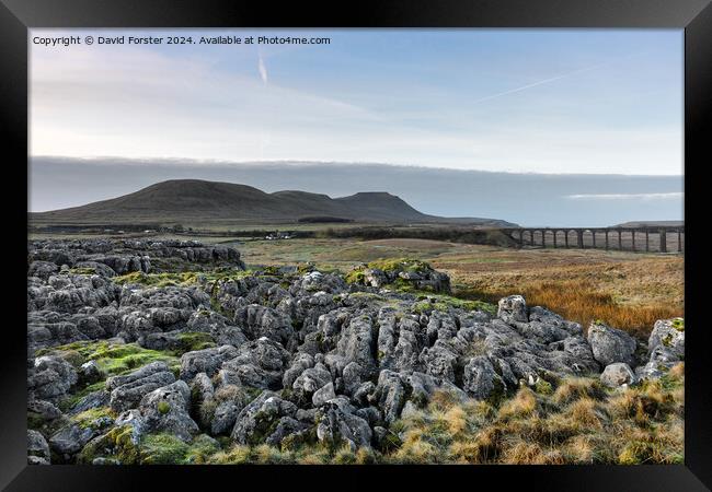 The Ribblehead Viaduct and Ingleborough, Yorkshire Framed Print by David Forster