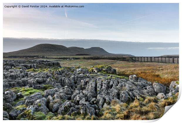 The Ribblehead Viaduct and Ingleborough, Yorkshire Print by David Forster