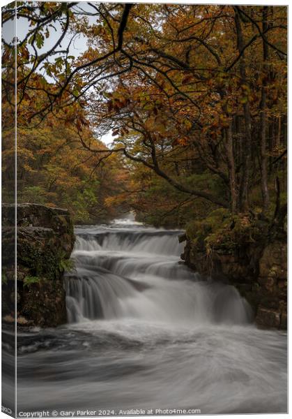 Autumn Waterfall Canvas Print by Gary Parker