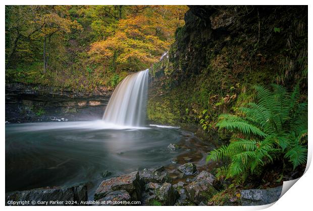 Autumn Waterfall Print by Gary Parker